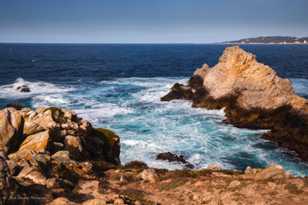 Point Lobos-9916.jpg